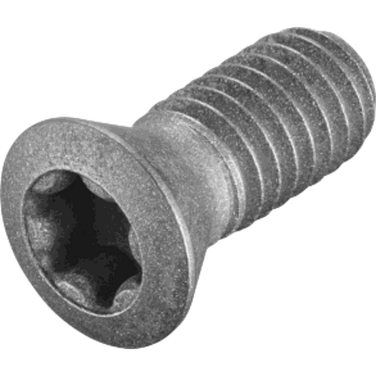Tornillos con cabeza Walter Tools