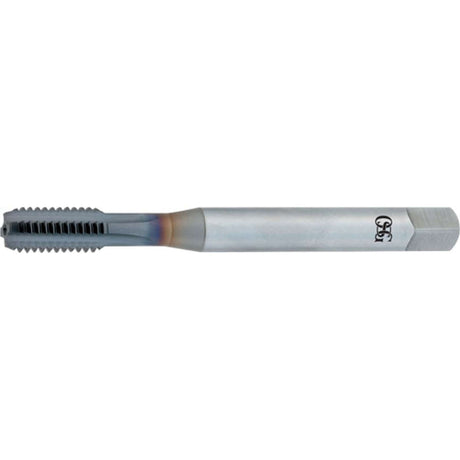 Machuelo 1/2-13 H5 OSG ROYCO