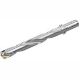 Broca con plaquitas intercambiables D4140 Dc=22mm