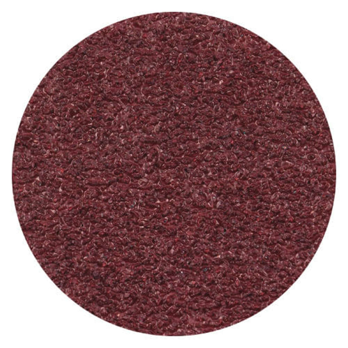 30503 DISCO PSA ALUMINUM OXIDE/X ECON 10IN 100 ARC ABRASIVES, INC.